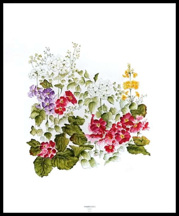 HP Z-012 Primroses